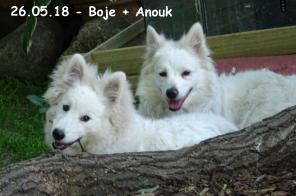 26.05.18 - Boje + Anouk