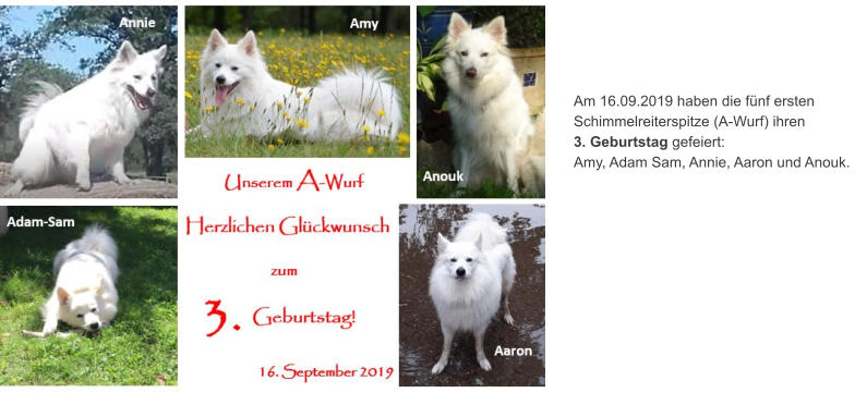 Am 16.09.2019 haben die fünf ersten  Schimmelreiterspitze (A-Wurf) ihren  3. Geburtstag gefeiert:  Amy, Adam Sam, Annie, Aaron und Anouk.