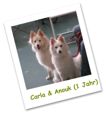 Carla & Anouk (1 Jahr)