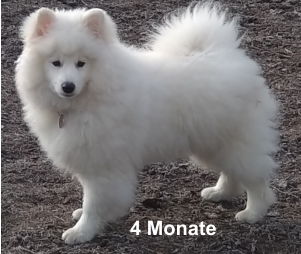 4 Monate
