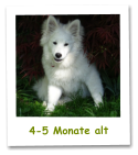 4-5 Monate alt