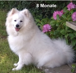 8 Monate