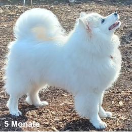 5 Monate