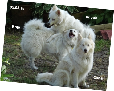 05.08.18 Boje Anouk Carla