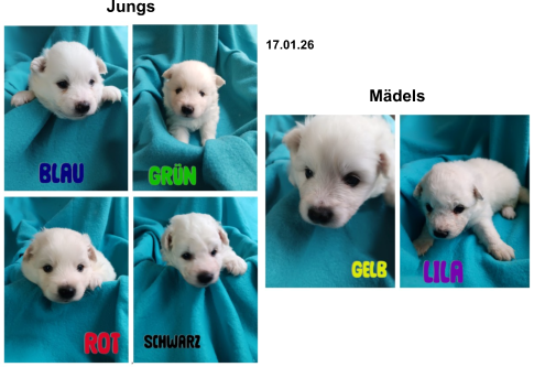 Jungs Mädels 17.01.26