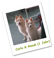 Carla & Anouk (1 Jahr)