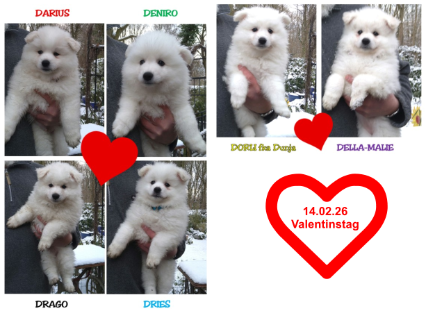 14.02.26 Valentinstag