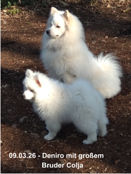 09.03.26 - Deniro mit großem                   Bruder Colja