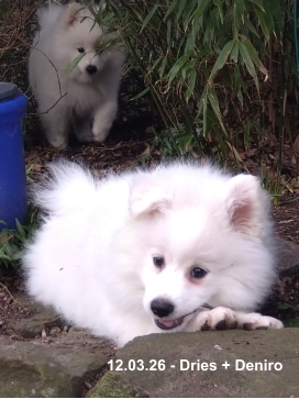 12.03.26 - Dries + Deniro