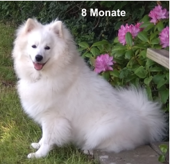 8 Monate